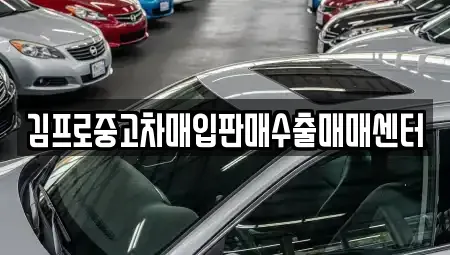강원 홍천군 남면 중고차매입 전문 김프로중고차매입판매수출매매센터