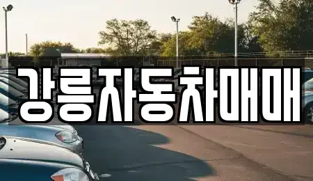 강원특별자치도 강릉시 구정면 중고차 전문 강릉자동차매매