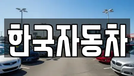 강원특별자치도 강릉시 구정면 중고차 전문 한국자동차