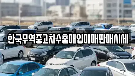 강원특별자치도 강릉시 구정면 중고차매입 전문 한국무역중고차수출매입매매판매시세