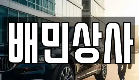 강원특별자치도 양양군 양양읍 중고차 전문 배민상사