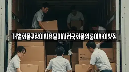 이사 전문 충청북도 제천시 백운면 컬렉션 13