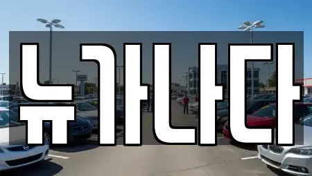 경기 고양시 일산동구 중산동 렌트카 전문 뉴가나다