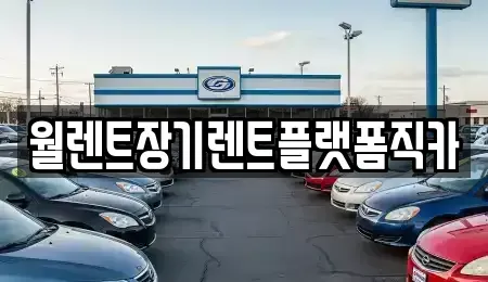 경기 고양시 일산동구 중산동 렌트카 전문 월렌트장기렌트플랫폼직카