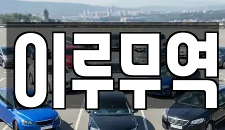 경기 고양시 일산동구 중산동 중고차 전문 이루무역