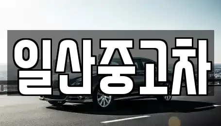 경기 고양시 일산동구 중산동 중고차 전문 일산중고차