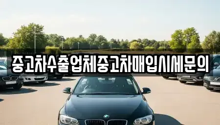경기 고양시 일산동구 중산동 중고차 전문 중고차수출업체중고차매입시세문의