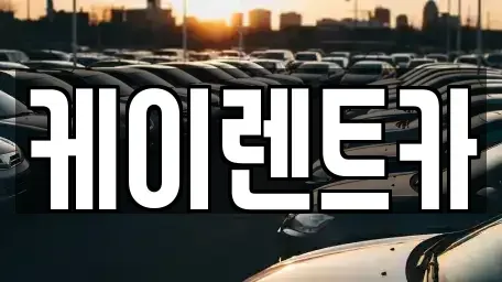 경기 고양시 일산서구 일산동 단기렌트카 전문 케이렌트카