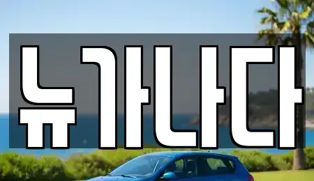 경기 고양시 일산서구 일산동 렌트카 전문 뉴가나다