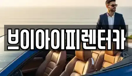 경기 고양시 일산서구 일산동 렌트카 전문 브이아이피렌터카