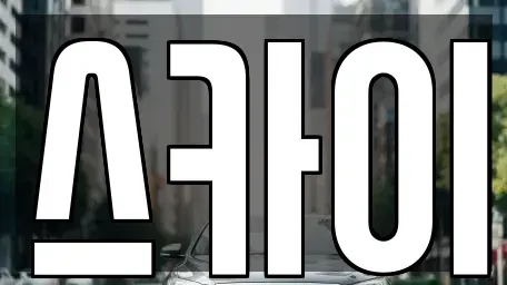 경기 고양시 일산서구 일산동 렌트카 전문 스카이