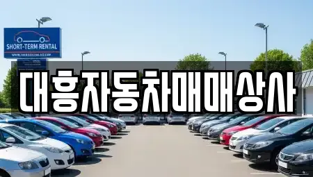 경기 고양시 일산서구 일산동 중고차 전문 대흥자동차매매상사