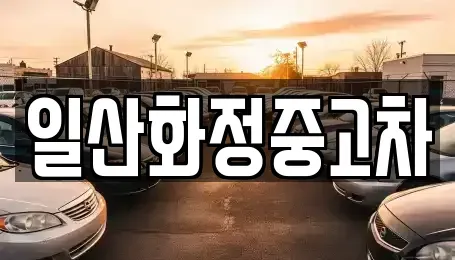 경기 고양시 일산서구 일산동 중고차 전문 일산화정중고차