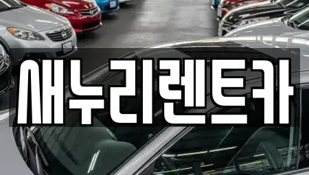 경기 남양주시 도농동 렌트카 전문 새누리렌트카