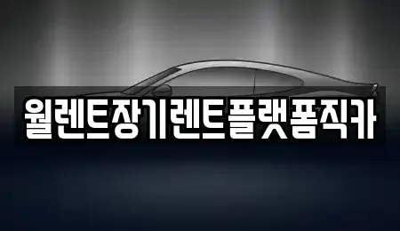 경기 남양주시 도농동 장기렌트카 전문 월렌트장기렌트플랫폼직카
