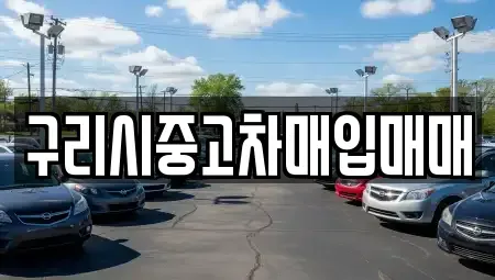 경기 남양주시 도농동 중고차매입 전문 구리시중고차매입매매