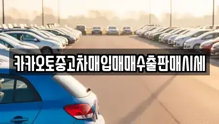 경기 남양주시 도농동 중고차매입 전문 카카오토중고차매입매매수출판매시세