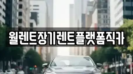 경기 동두천시 지행동 렌트카 전문 월렌트장기렌트플랫폼직카