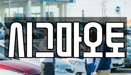 경기 부천시 원미구 상동 단기렌트카 전문 시그마오토