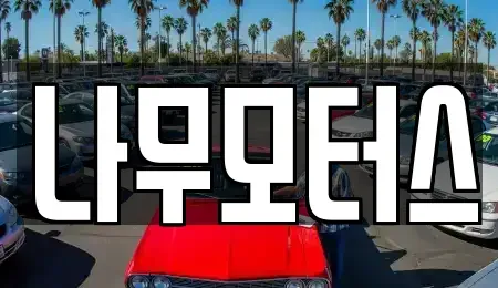 경기 부천시 원미구 상동 중고차매매 전문 나무모터스