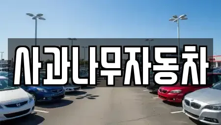 경기 부천시 원미구 상동 중고차매매 전문 사과나무자동차