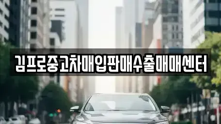 경기 부천시 원미구 상동 중고차매입 전문 김프로중고차매입판매수출매매센터