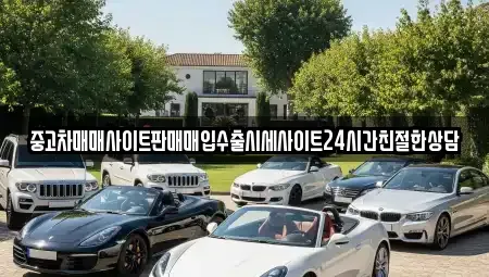 경기 수원시 팔달구 교동 중고차매입 전문 중고차매매사이트판매매입수출시세사이트24시간친절한상담