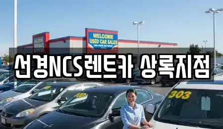 경기 안산시 단원구 고잔동 단기렌트카 전문 선경NCS렌트카 상록지점