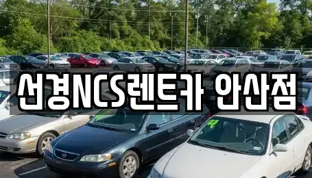 경기 안산시 단원구 고잔동 렌트카 전문 선경NCS렌트카 안산점