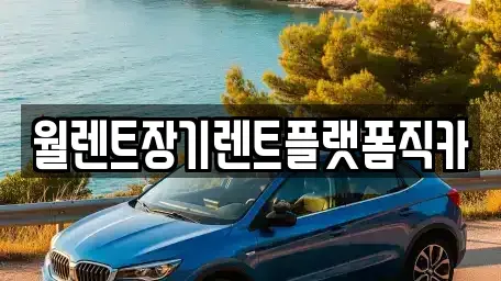 경기 안산시 단원구 고잔동 장기렌트카 전문 월렌트장기렌트플랫폼직카