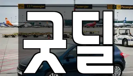 경기 안산시 단원구 고잔동 중고차 전문 굿딜