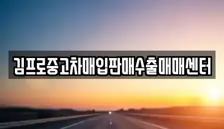 경기 안산시 단원구 고잔동 중고차매입 전문 김프로중고차매입판매수출매매센터