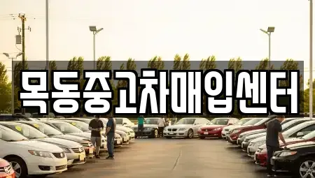 경기 안산시 단원구 고잔동 중고차매입 전문 목동중고차매입센터
