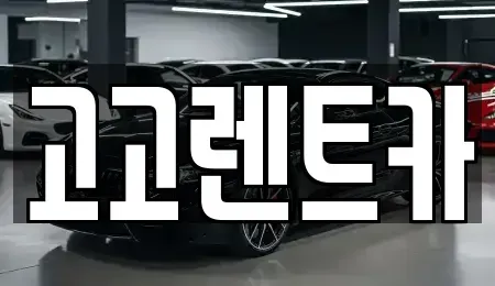 경기 안산시 상록구 일동 렌트카 전문 고고렌트카