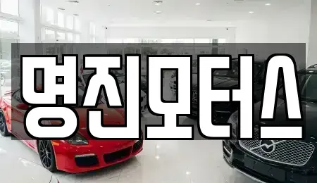 경기 안산시 상록구 일동 중고차 전문 명진모터스