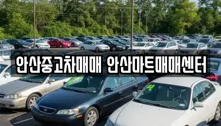 경기 안산시 상록구 일동 중고차 전문 안산중고차매매 안산마트매매센터