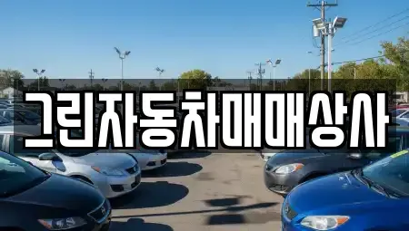 경기 양평군 중고차 전문 그린자동차매매상사