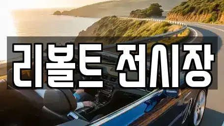 경기 용인시 기흥구 중고차 전문 리볼트 전시장