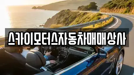 경기 용인시 기흥구 중고차 전문 스카이모터스자동차매매상사