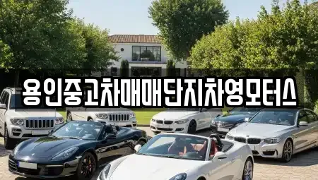 경기 용인시 기흥구 중고차 전문 용인중고차매매단지차영모터스