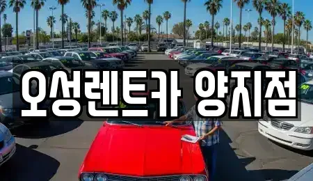 경기 용인시 처인구 장기렌트카 전문 오성렌트카 양지점