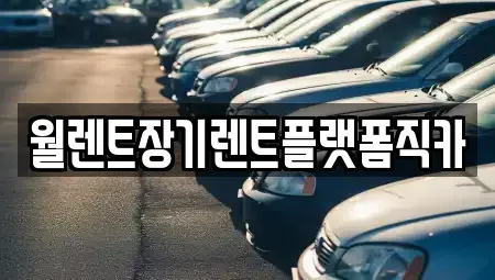 경기 용인시 처인구 장기렌트카 전문 월렌트장기렌트플랫폼직카