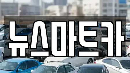 경기 용인시 처인구 중고차 전문 뉴스마트카