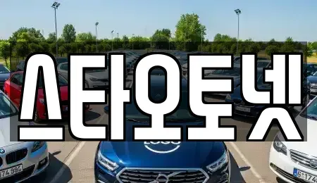 경기 용인시 처인구 중고차 전문 스타오토넷