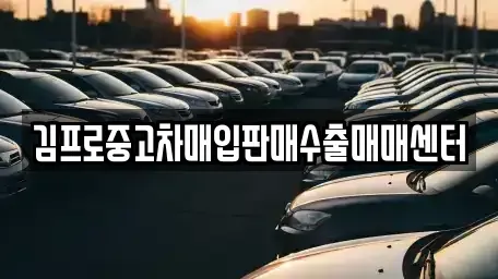 경기 용인시 처인구 중고차매입 전문 김프로중고차매입판매수출매매센터
