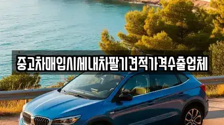 경기 용인시 처인구 중고차매입 전문 중고차매입시세내차팔기견적가격수출업체
