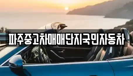 경기 파주시 아동동 중고차 전문 파주중고차매매단지국민자동차