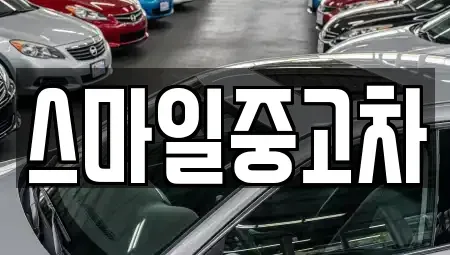 경기 파주시 아동동 중고차매매 전문 스마일중고차