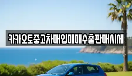 경기 파주시 아동동 중고차매입 전문 카카오토중고차매입매매수출판매시세