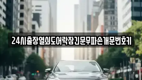 경기 파주시 진동면 중고차 전문 24시출장열쇠도어락잠긴문무파손개문번호키